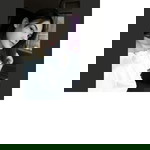 breeze profile icon