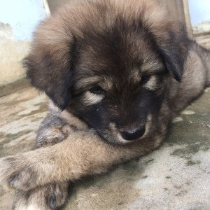 Wara Tak profile icon