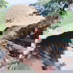 Matmee Chalida profile icon