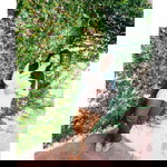 madihah ashikin profile icon