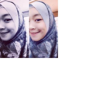 Dini Anggraeni profile icon