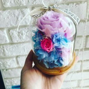 Cut Alifa profile icon