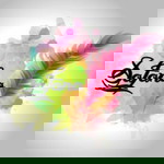 Safana Safa profile icon