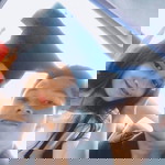 Lyka San Diego profile icon