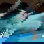 P Suphattra Sine profile icon