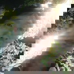 สวนส้มสุขใจ บาย ซูยุ profile icon