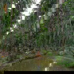 Aom Yeon profile icon