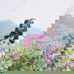 Daw Daratip profile icon