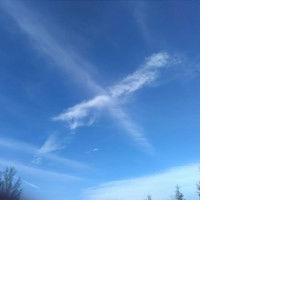 Ting Ting profile icon