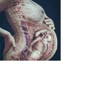 Anonymous profile icon