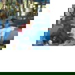 Eka saftini profile icon