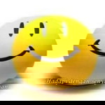 Raina Rafiq profile icon