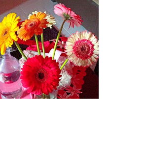 Somebody profile icon