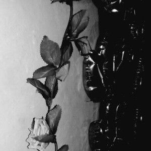 Nissin Maulida profile icon