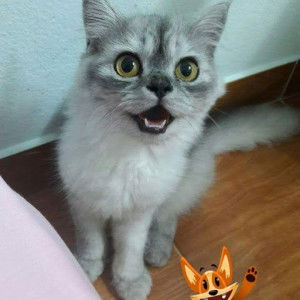 ลินดา บุญมา profile icon