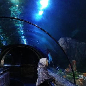 Epi Komalasari profile icon