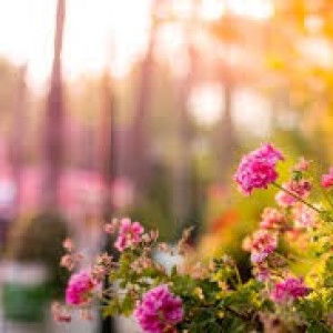 Rizki Wahyu Utami profile icon