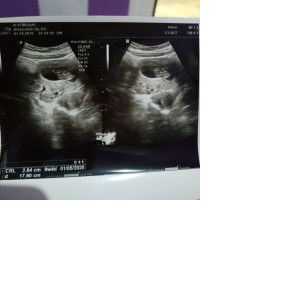 SIRIUS 13 profile icon