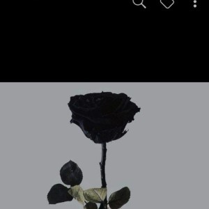 Ranasyah profile icon