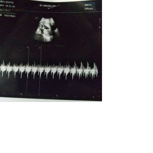 Bunda sarah ramdhani profile icon