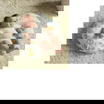 Nor profile icon