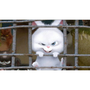 Bunny Carrot profile icon