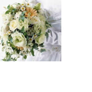 ستّى profile icon