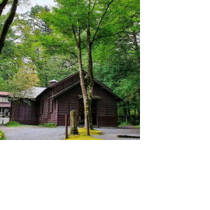 Nimas Pangestuti profile icon