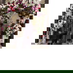 astry kurnia widiani profile icon