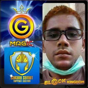 Budi Hidayat profile icon