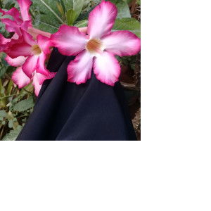 Ressa Andriani profile icon