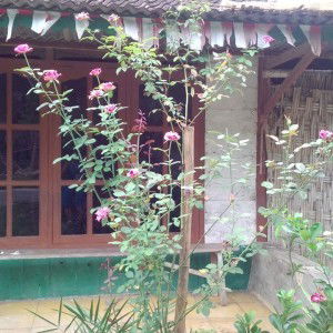 Ma'rifatus profile icon