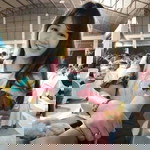 May Sumonta profile icon