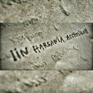 Harsania Iin profile icon