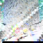 Angie Velasco profile icon