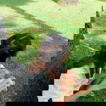 ชะ- เอิ่ม. profile icon