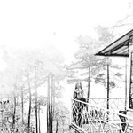 Asiah Maktar profile icon