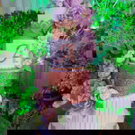 aryan mateo profile icon