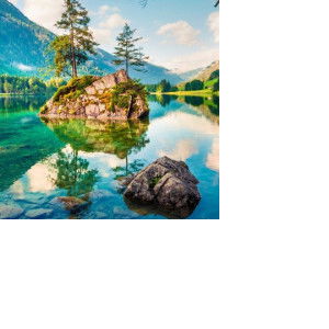 Snail​? profile icon