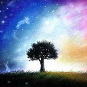 Melon Madu profile icon