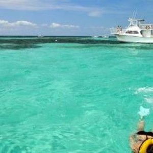 Alex Lao profile icon