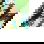 แล้ว ไล profile icon