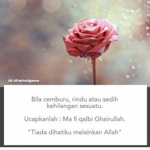 Ayu Fadhilah profile icon