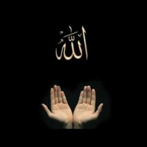 Amelia Salma Jannah profile icon