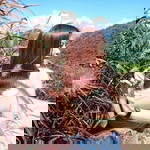 นันทิพร เชื้อเมืองพาน profile icon