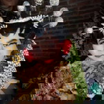 Rohma Warouw profile icon