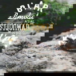 Zm Rochma Al Subqidiah profile icon