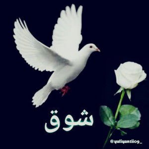 Yulianti As-Sufroh Nelisa profile icon