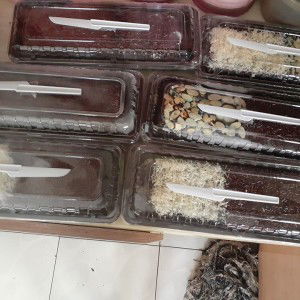 Eva Sari profile icon