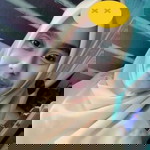 Resti Naffisa Khairunnisa profile icon